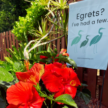 Load image into Gallery viewer, Egrets? I've had a few